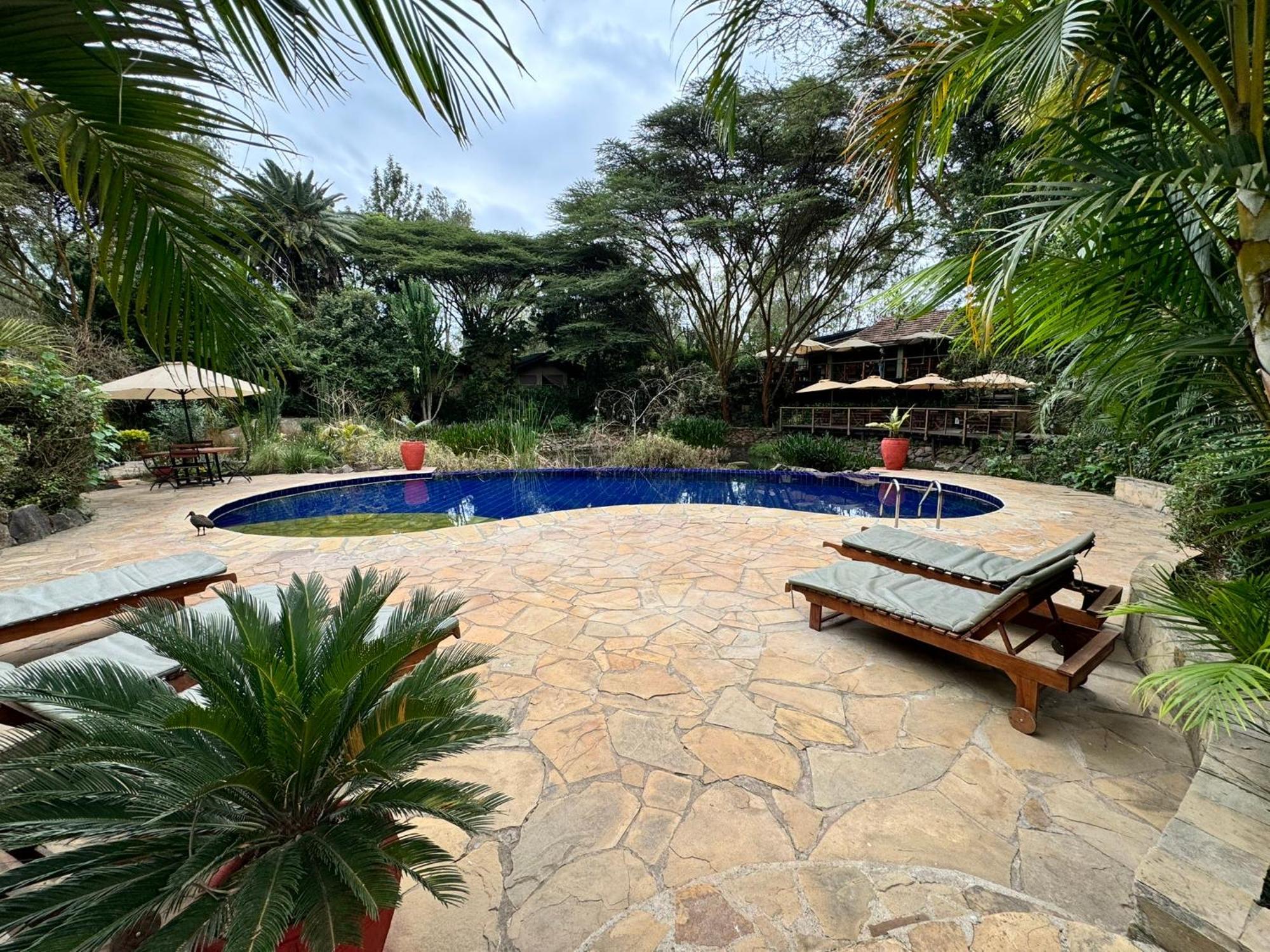 Wildebeest Eco Camp Hotel Nairobi Kültér fotó