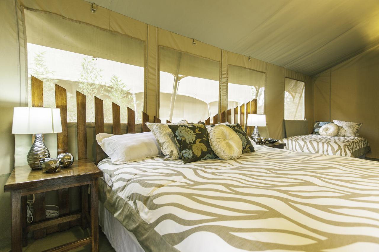 Wildebeest Eco Camp Hotel Nairobi Szoba fotó